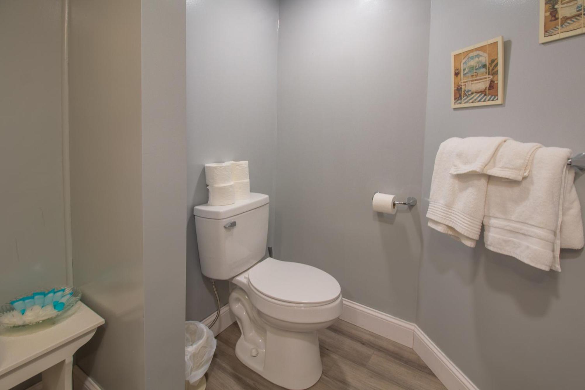 Stay In Ohiopyle In Town By The Gap Trail Ngoại thất bức ảnh